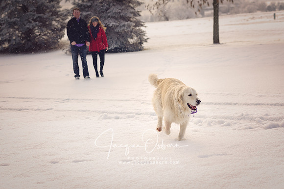 Buhl, Idaho Engagement Session during the winter - Jacque Osborn Photography