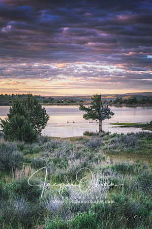 Owyhee Uplands Scenic Backcountry Byway, Idaho - Jacque Osborn Photography - Buhl, Idaho Photographe